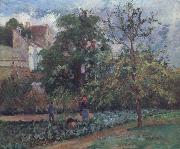 Camille Pissarro The orchard at Maubuissson,Pontoise Le verger a Maubuisson,Pontoise oil painting reproduction